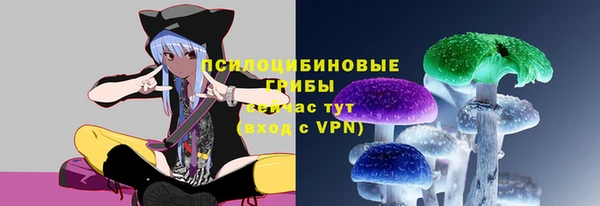 PSILOCYBIN Аркадак