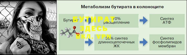 PSILOCYBIN Аркадак